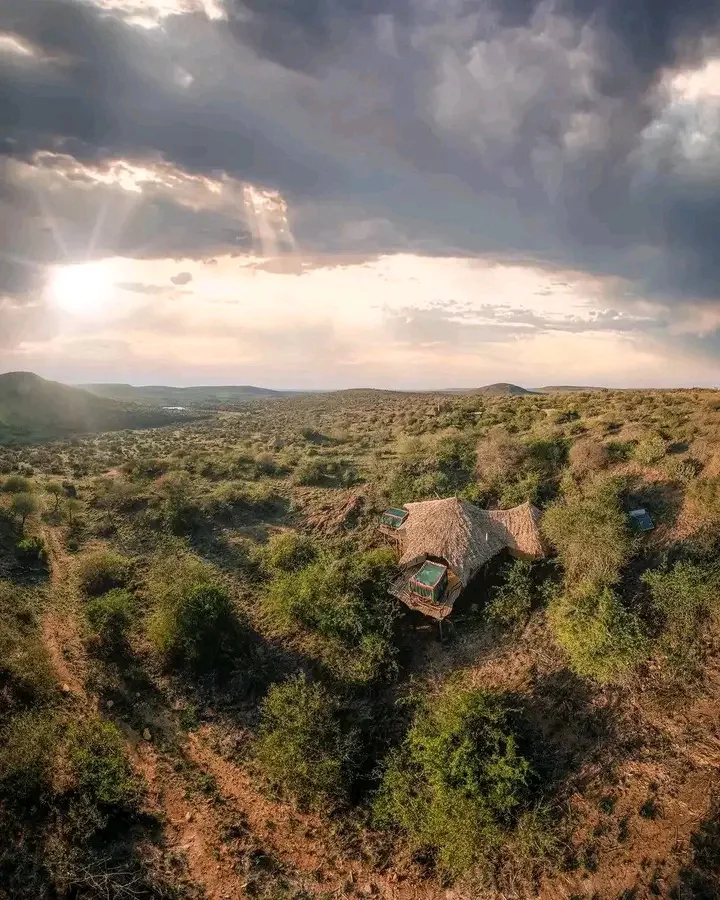 ELEWANA LOISABA STAR BEDS
