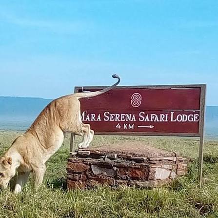 MARA SERENA SAFARI LODGE