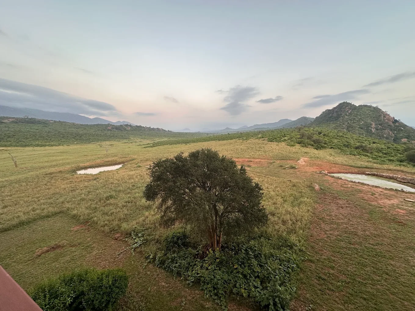 NGULIA SAFARI LODGE